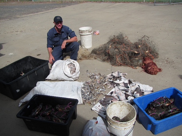 Shark fins seized in fishing shack bust